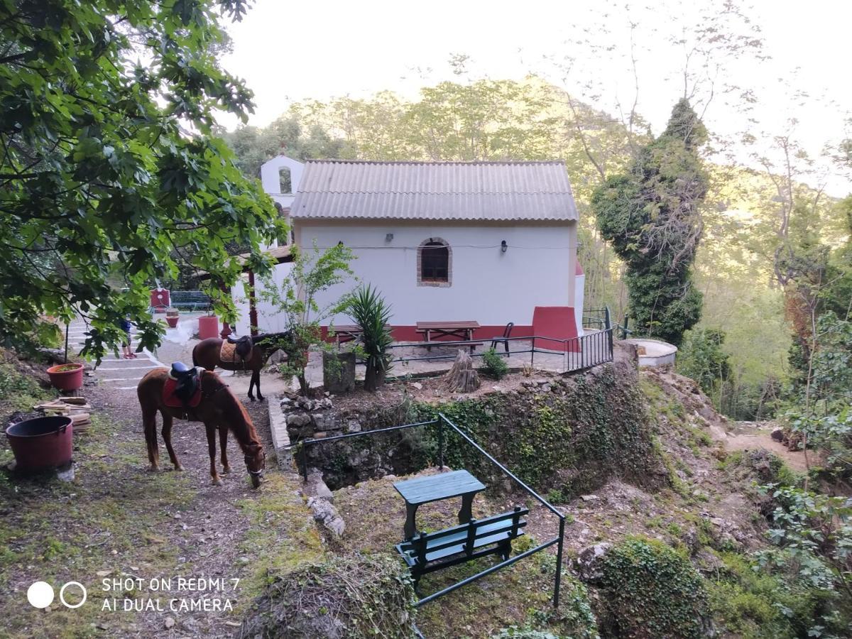 St.Nicholas Ranch Corfu Μπενίτσες Εξωτερικό φωτογραφία