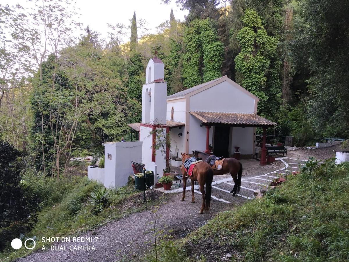St.Nicholas Ranch Corfu Μπενίτσες Εξωτερικό φωτογραφία