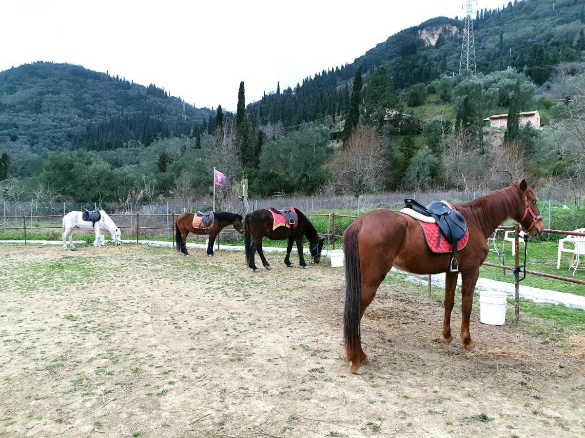 St.Nicholas Ranch Corfu Μπενίτσες Εξωτερικό φωτογραφία